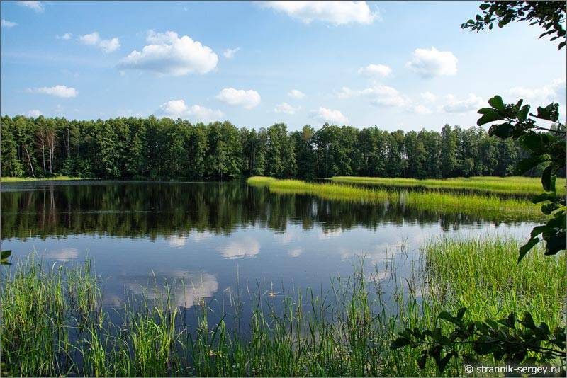 meshhera-ozero-meshherskoe-7035515
